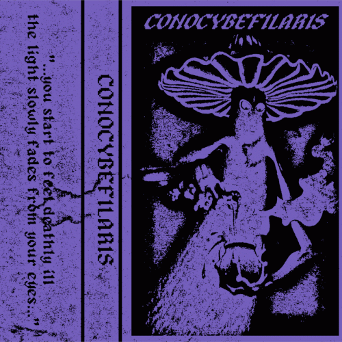 Tomb Wizard : Conocybefilaris
